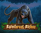 Rainforest Riches